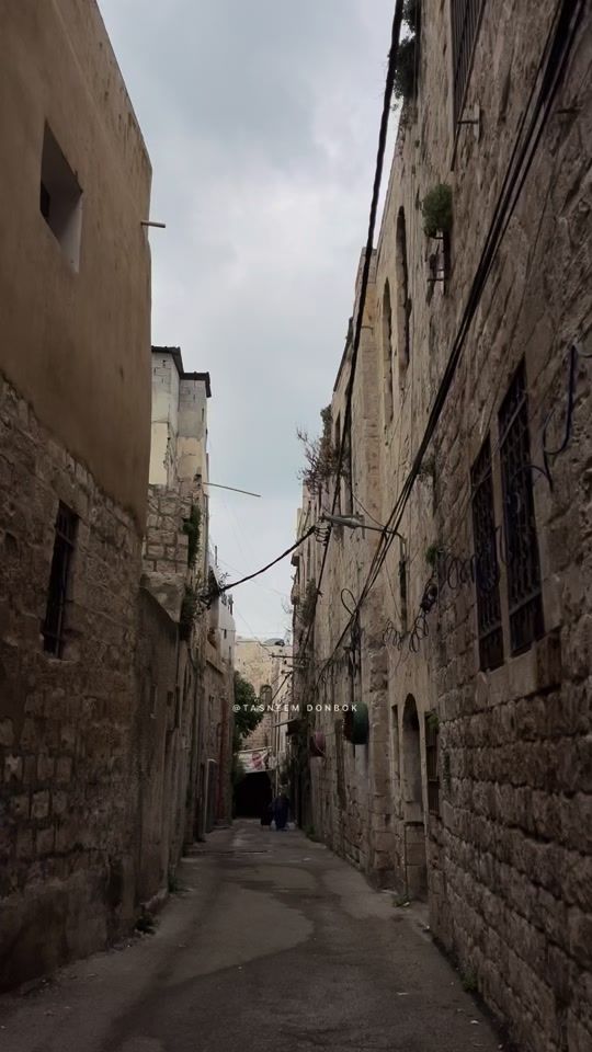 TikTok video thumbnail by donbok.tt