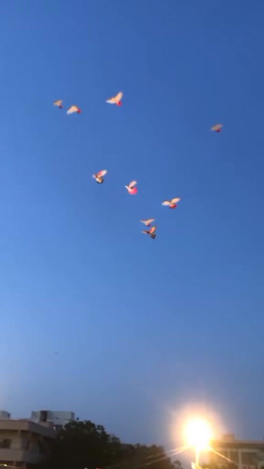 TikTok video thumbnail by mirabdulbaloch