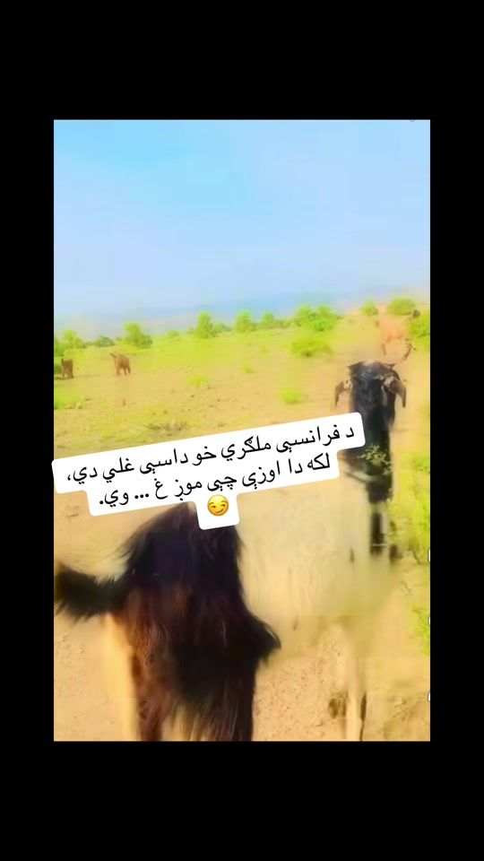 TikTok video thumbnail by p4shtoon_boy