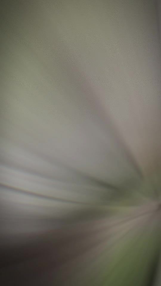 TikTok video thumbnail by ngoc23011