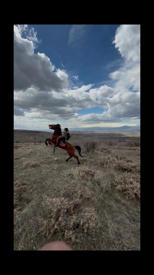 TikTok video thumbnail by aramtorosyan01