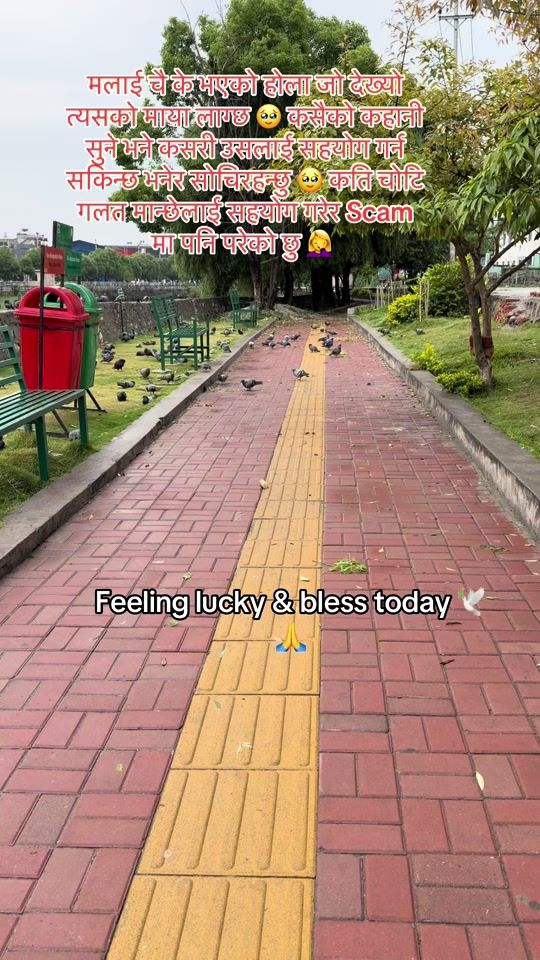 TikTok video thumbnail by anushka_vlogs3