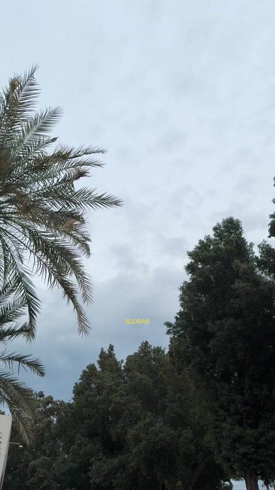 TikTok video thumbnail by lhalenezi