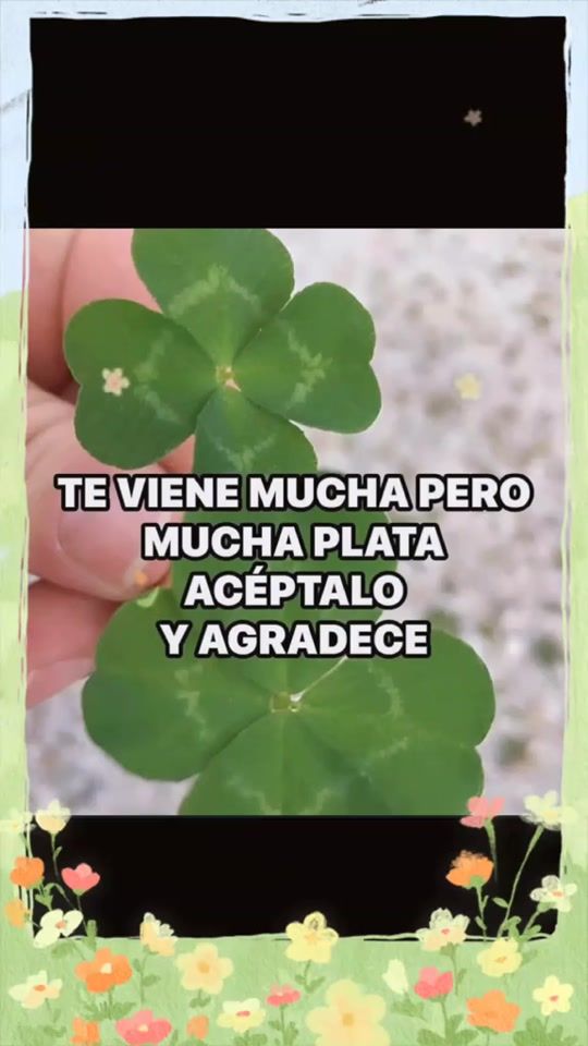 TikTok video thumbnail by ecosdelalma_b