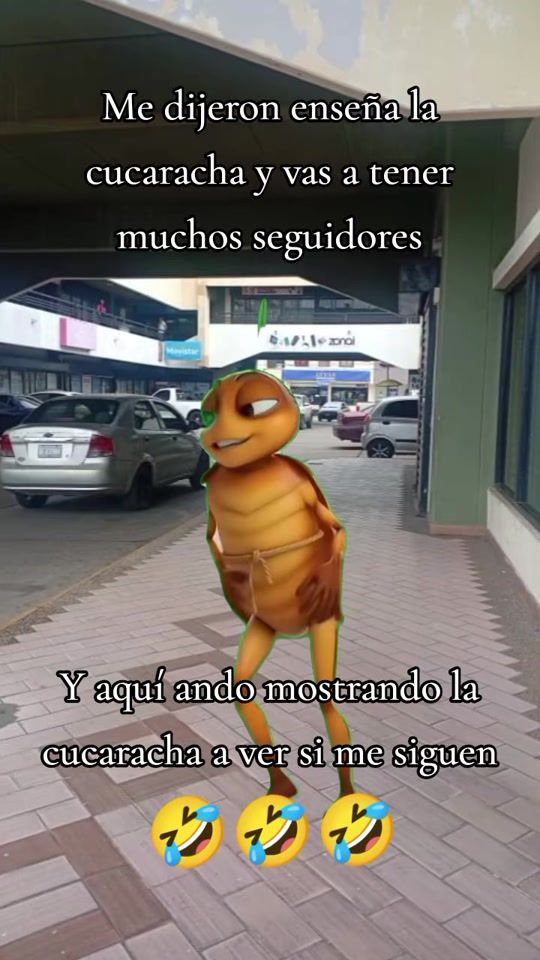 TikTok video thumbnail by zulayperez63
