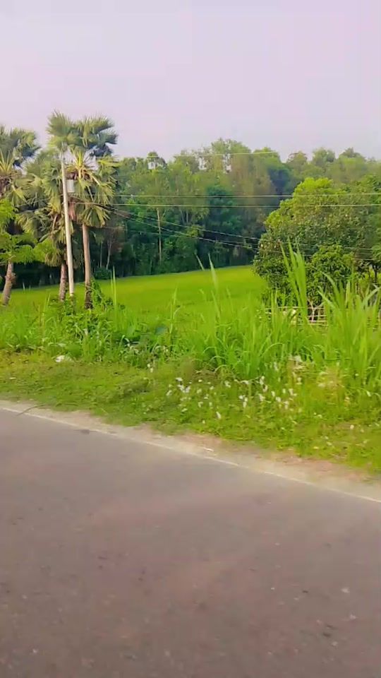 TikTok video thumbnail by tasfiyatabassum8581
