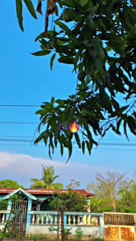 TikTok video thumbnail by luis_biker.502
