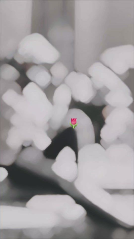 TikTok video thumbnail by carina_lopez_502