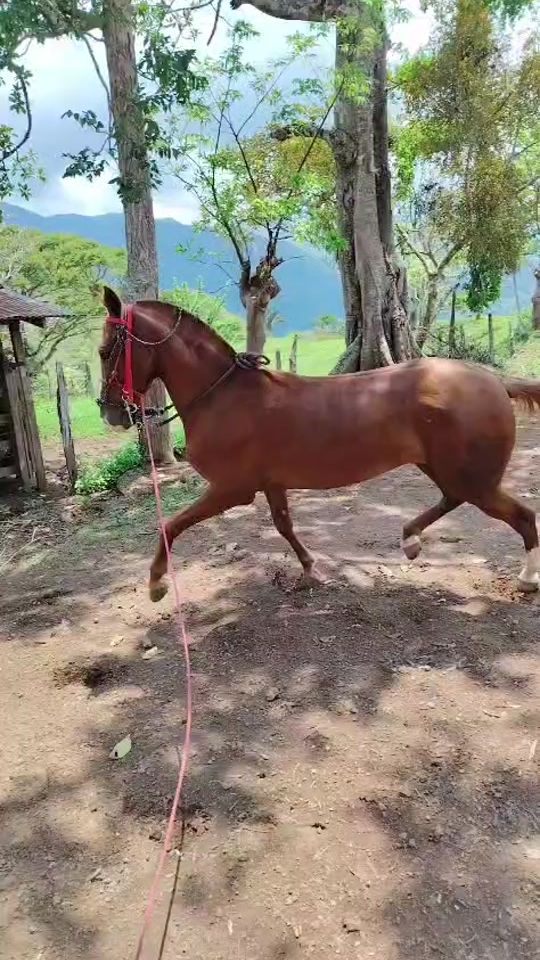 TikTok video thumbnail by garro86