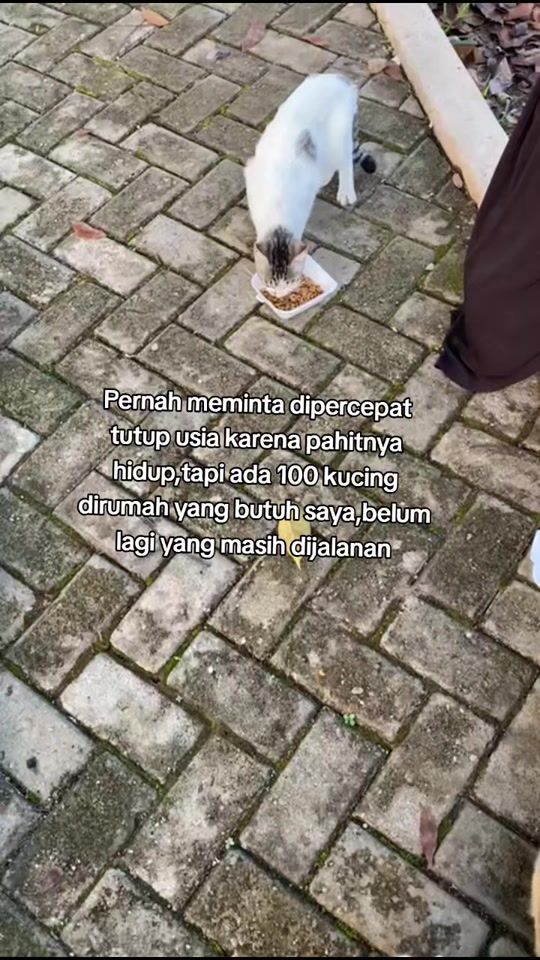 TikTok video thumbnail by kunismochi