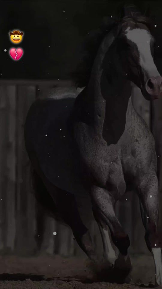 TikTok video thumbnail by alejita_equinos
