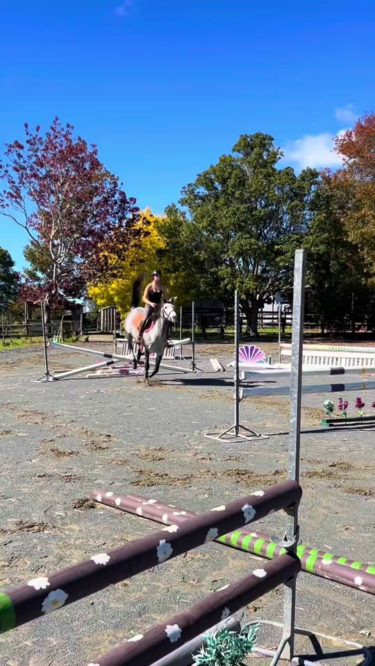 TikTok video thumbnail by ellagarlick.showjumping