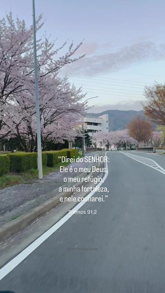 TikTok video thumbnail by umcristaopelomundo