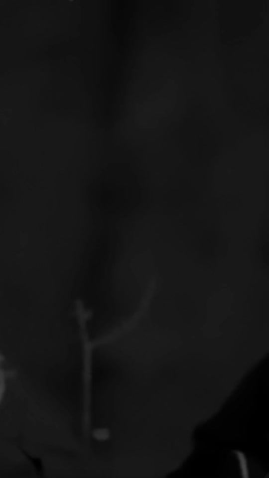 TikTok video thumbnail by c.alresan0