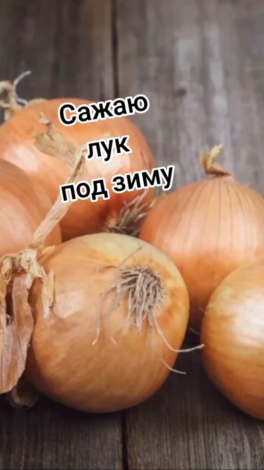 TikTok video thumbnail by babochka74