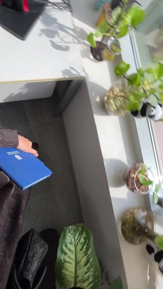 TikTok video thumbnail by itrn.5