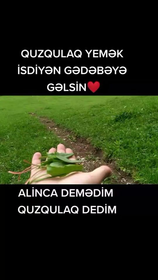 TikTok video thumbnail by gedebeyeseyahet