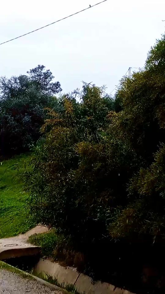 TikTok video thumbnail by arbi_marouen
