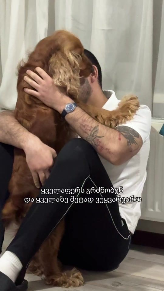 TikTok video thumbnail by animetrevelli