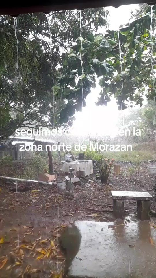 TikTok video thumbnail by bilda26