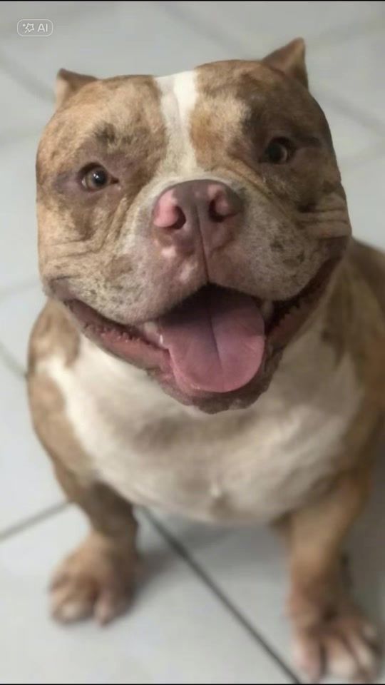 TikTok video thumbnail by micaelensancor