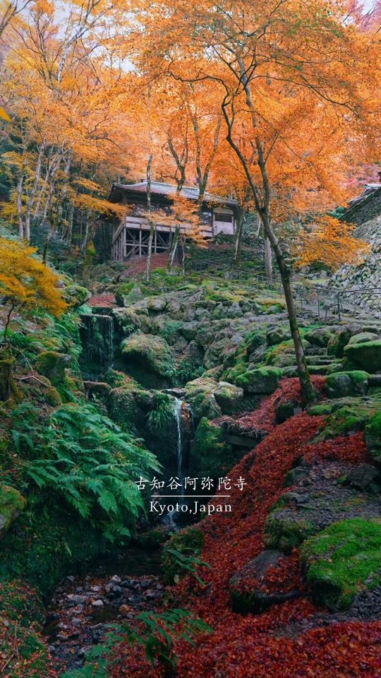 TikTok video thumbnail by reo_film