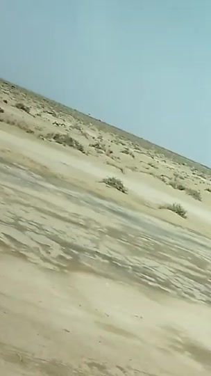 TikTok video thumbnail by fidadashti3