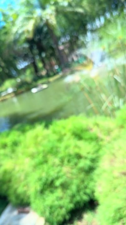 TikTok video thumbnail by elberrion2