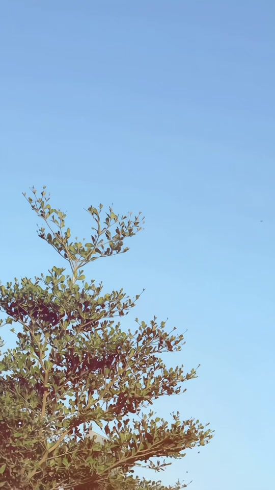 TikTok video thumbnail by real.alikhan