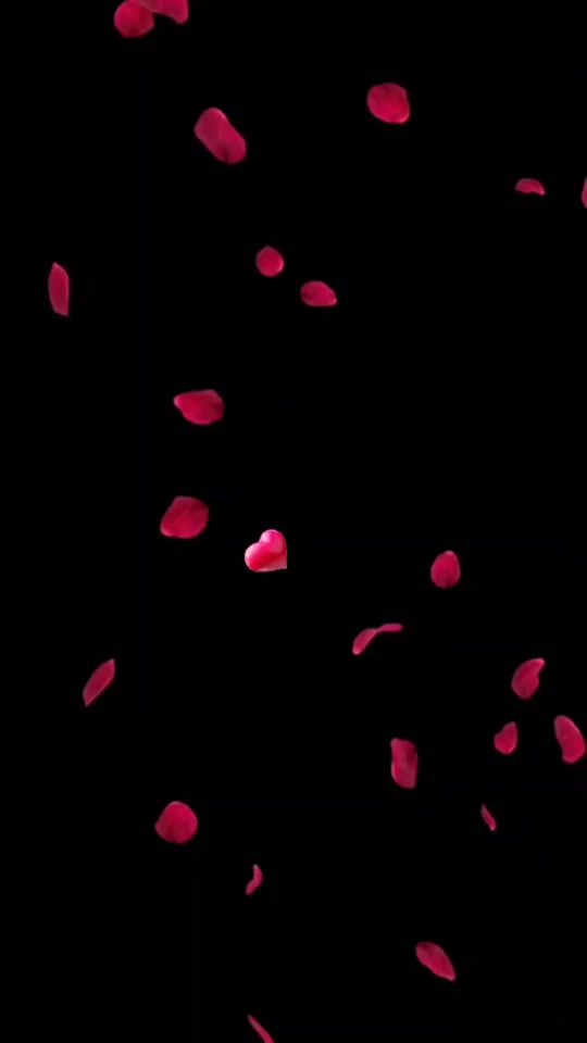 TikTok video thumbnail by userhhpqdthray
