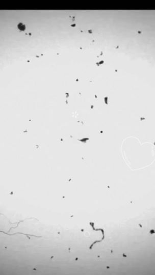 TikTok video thumbnail by faris4120