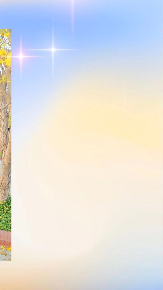 TikTok video thumbnail by thidakyawshein