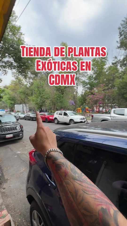 TikTok video thumbnail by cizzabernal