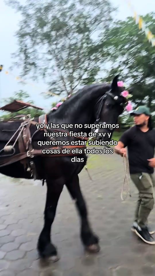 TikTok video thumbnail by lore...ofc07