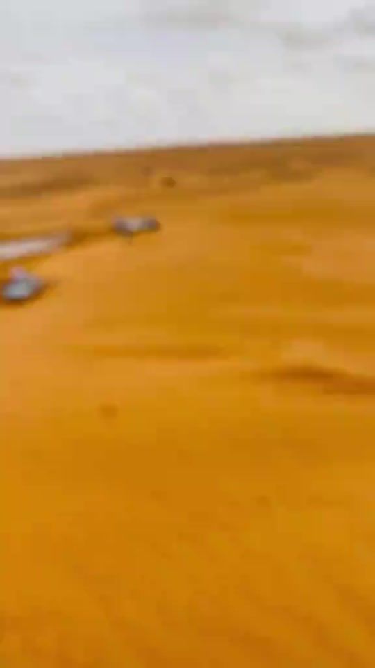 TikTok video thumbnail by sidamu_zain_22