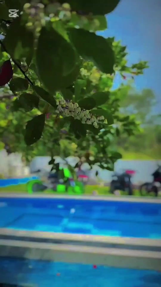 TikTok video thumbnail by __avee_boy___