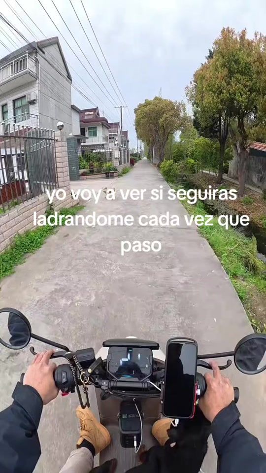 TikTok video thumbnail by exoticoooooooooooo