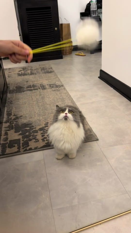 TikTok video thumbnail by marifia_nit