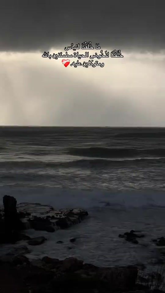 TikTok video thumbnail by ro72lbyh