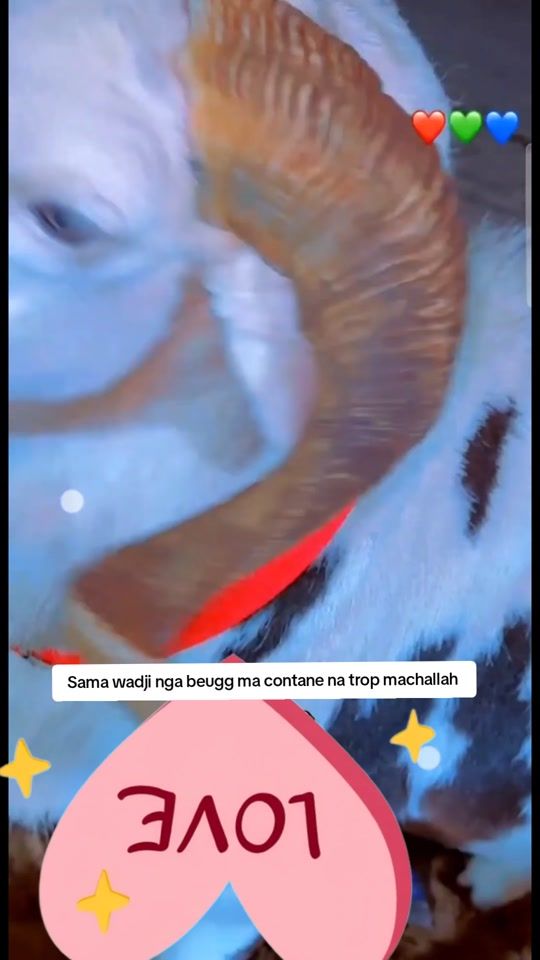 TikTok video thumbnail by domou2___