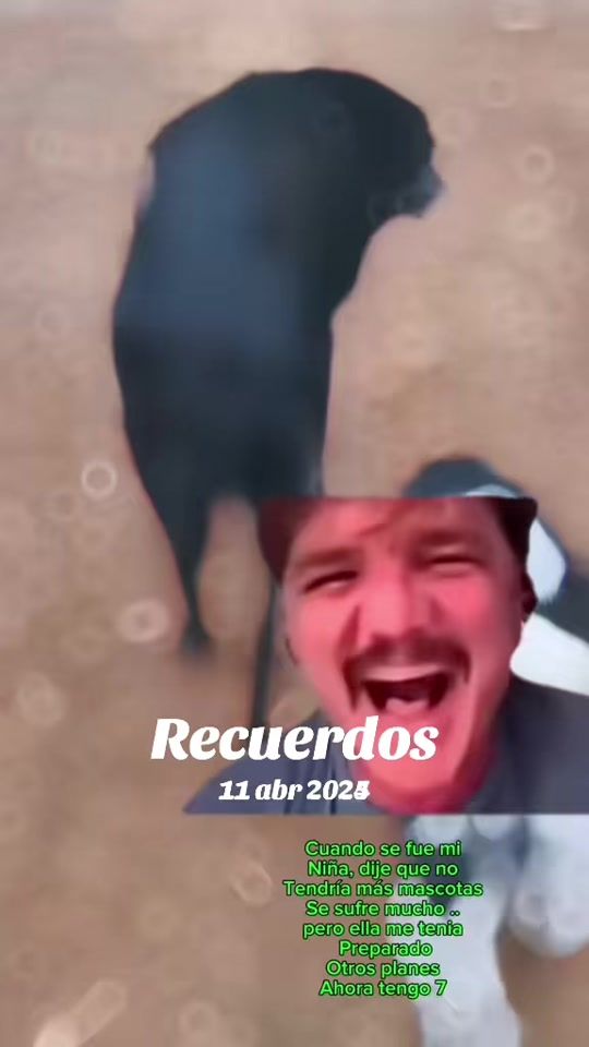 TikTok video thumbnail by nataliaoses20
