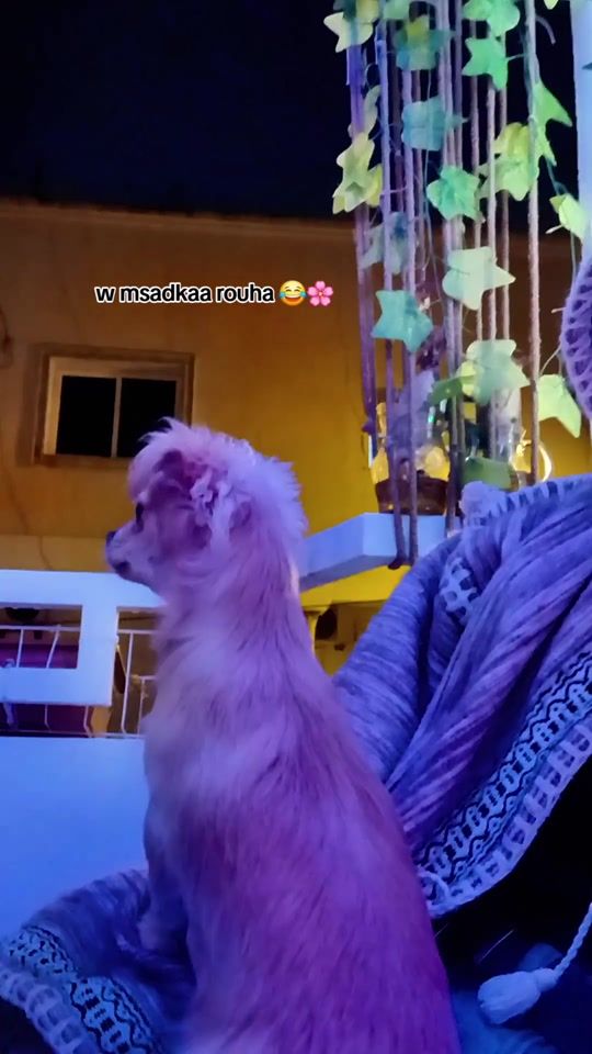 TikTok video thumbnail by sarra.benmoussa