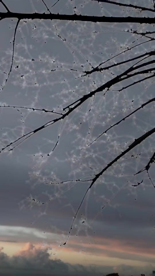 TikTok video thumbnail by samaous80