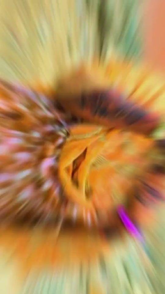TikTok video thumbnail by yitalaalak