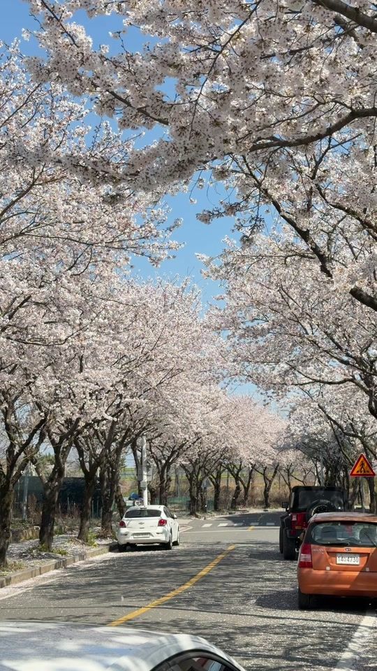 TikTok video thumbnail by chagiaa44