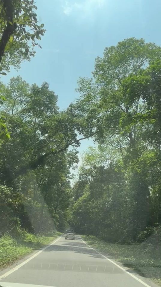 TikTok video thumbnail by omlhas