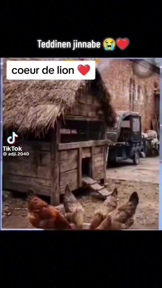 TikTok video thumbnail by damissba0