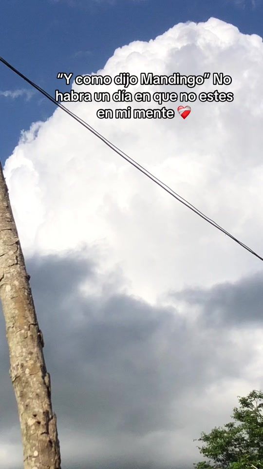 TikTok video thumbnail by guzmanhr2