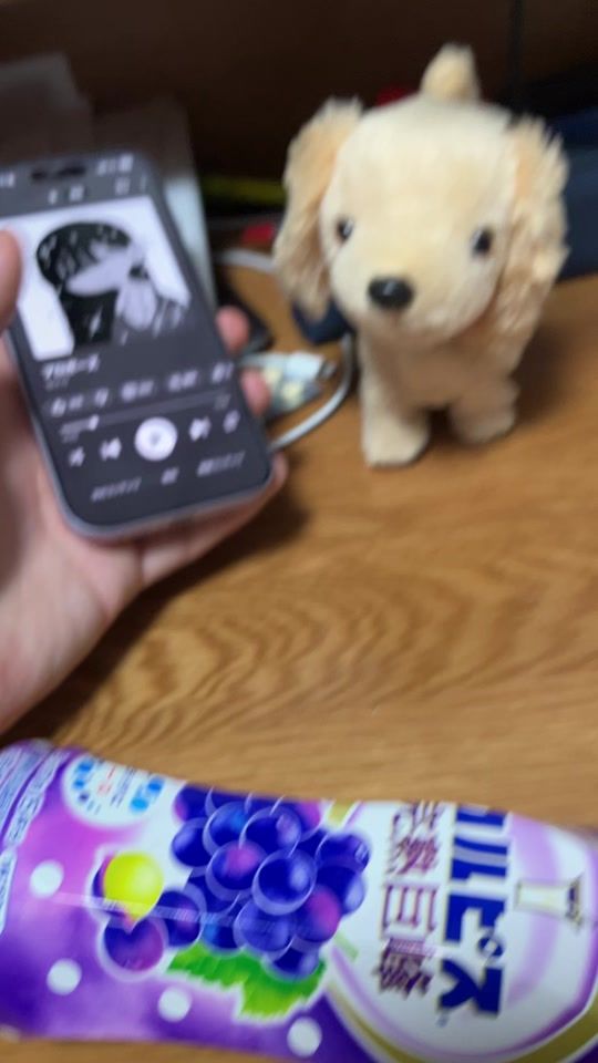 TikTok video thumbnail by oshaberidogs