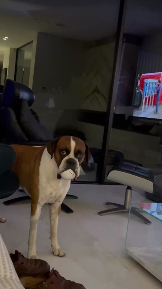 TikTok video thumbnail by leo69555